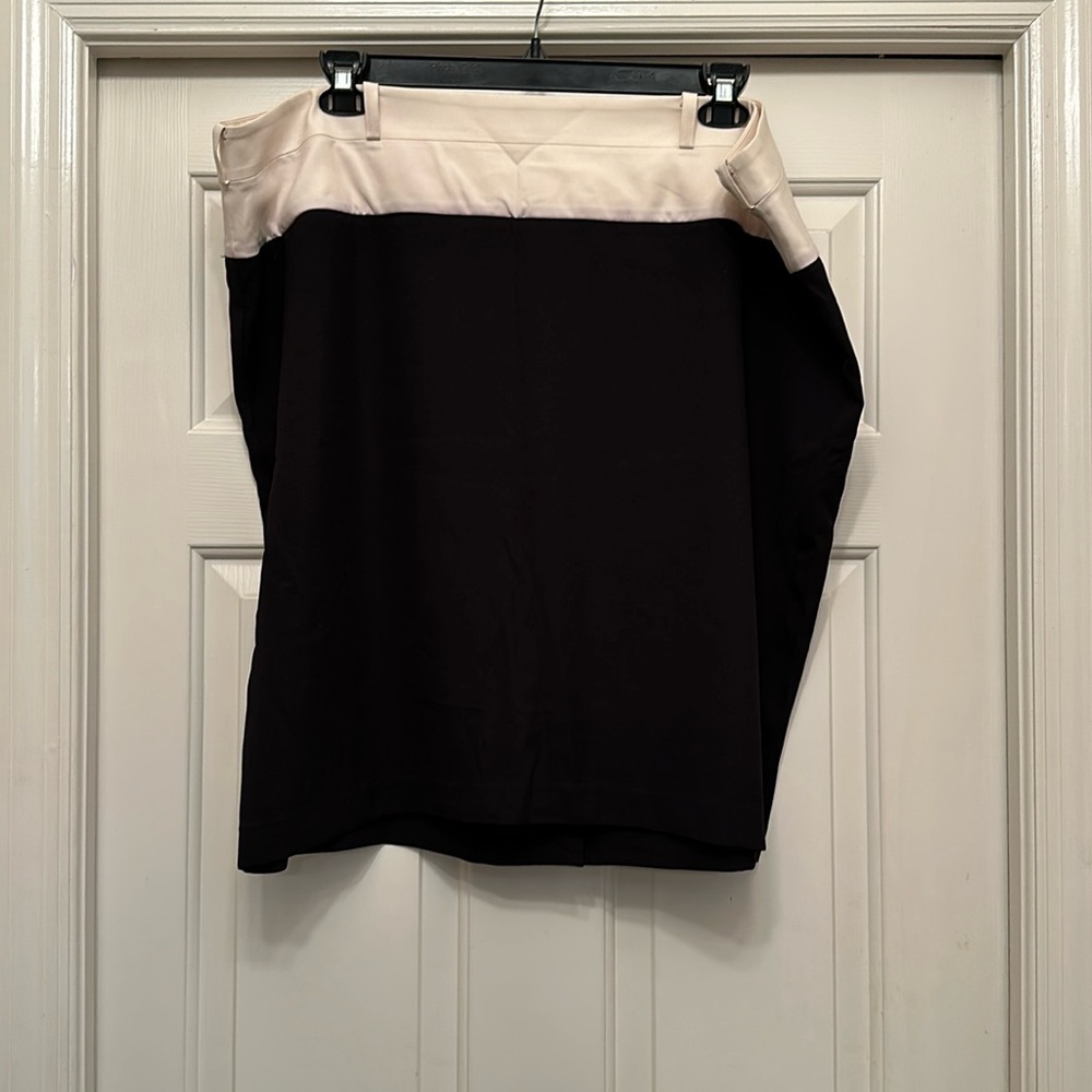 Lane Bryant Skirt